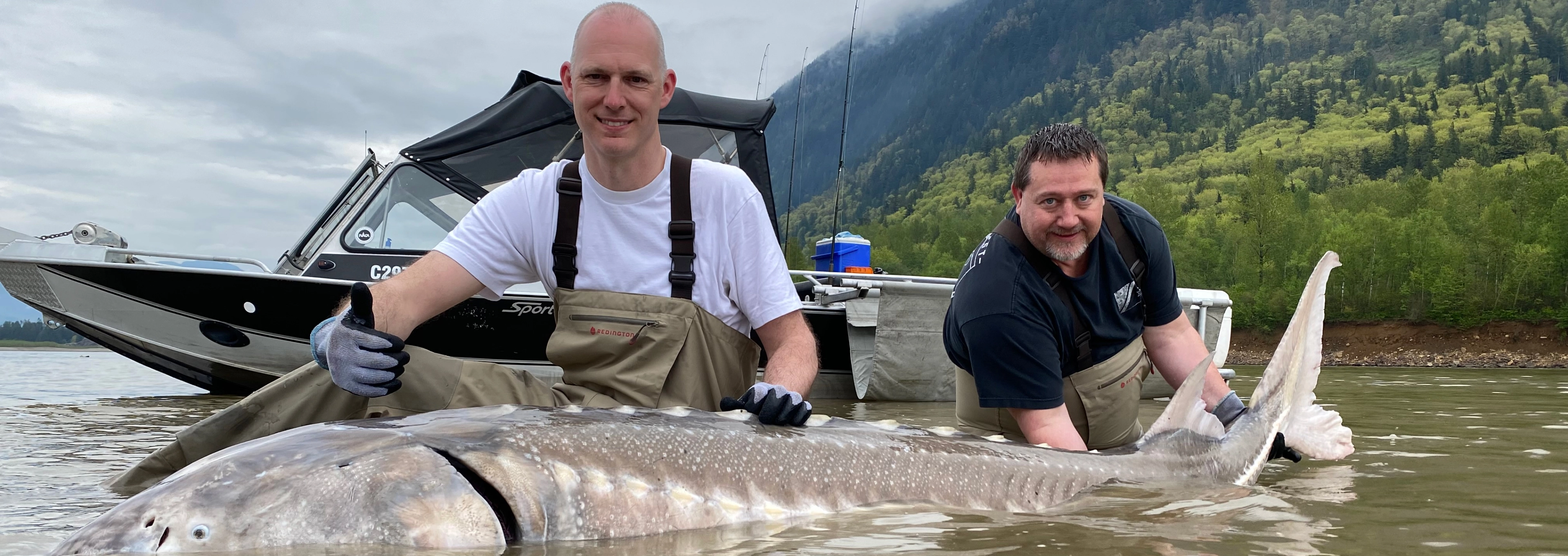 Two men holding a sturgeon in front of a boat on the Fraser River
