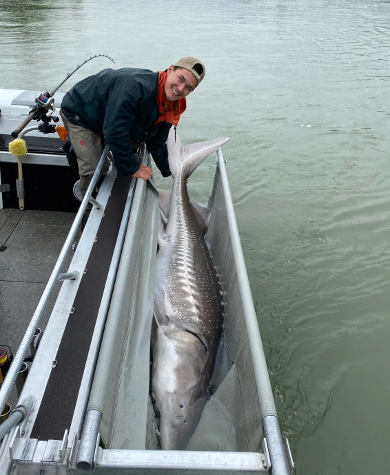 a man on a boat next to a sturgeon on the fraser river