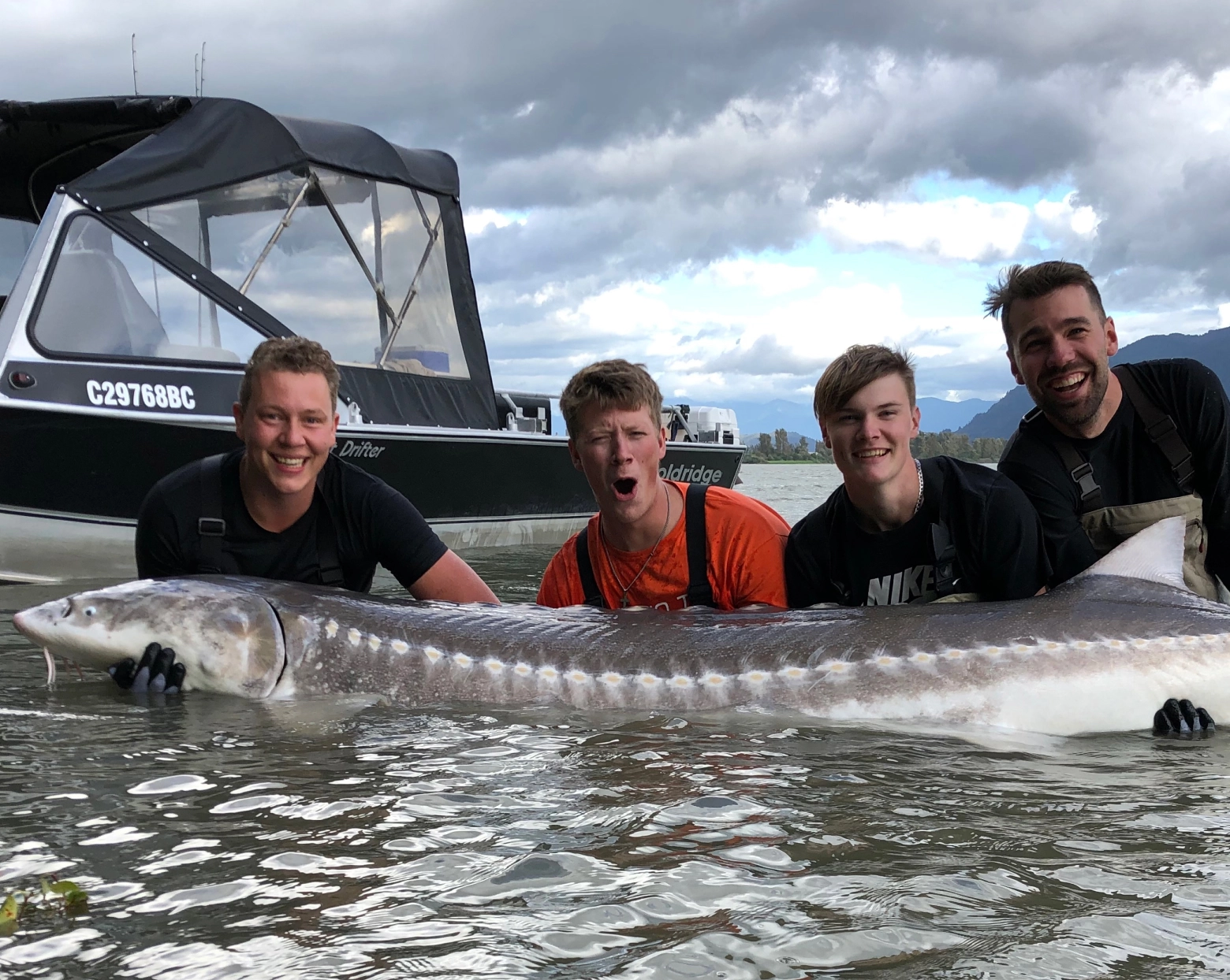 4 men next to a big sturgeon in the fraser river